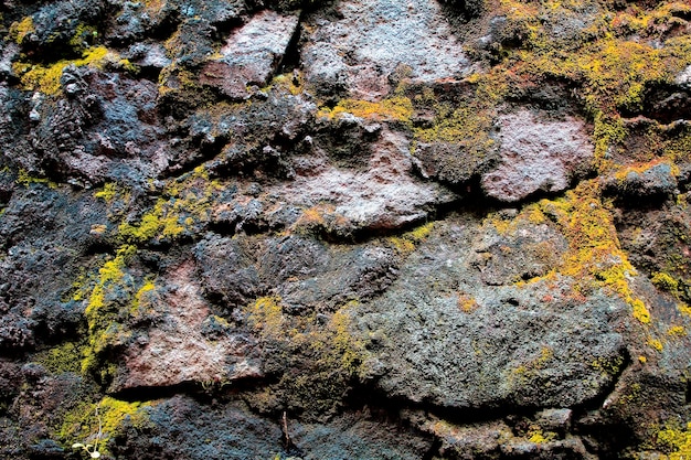 Textura de pedra musgosa verde