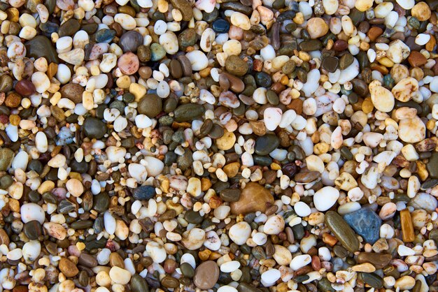 Foto textura de pedras molhadas na praia