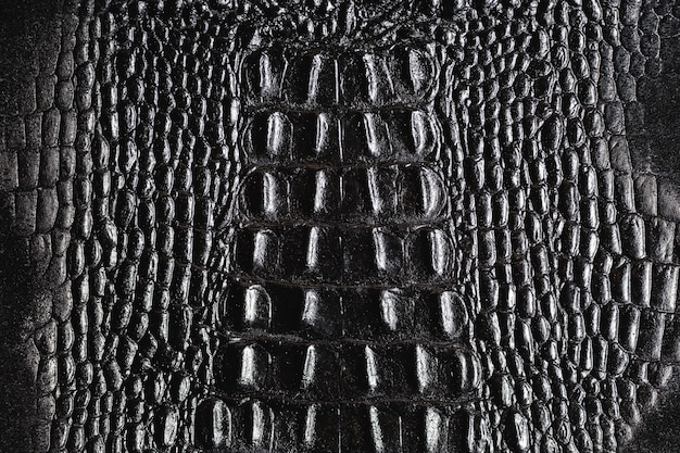 Textura de pele de crocodilo