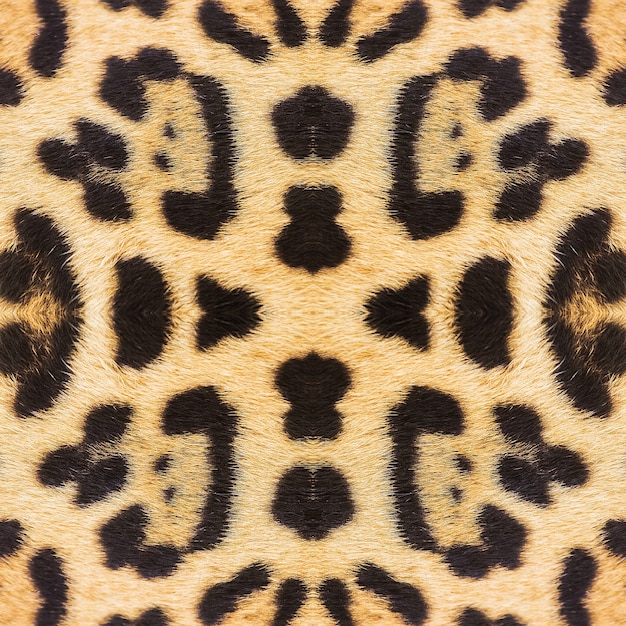 Textura de pele de leopardo para plano de fundo