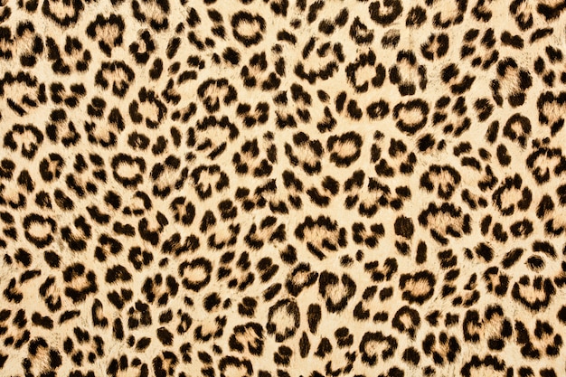 Foto textura de pele de leopardo