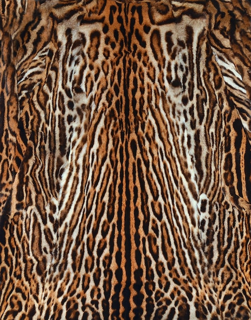 Foto textura de pele de leopardo