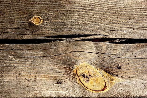 textura de placa de madeira velha cinza com galhos amarelos, fundo de madeira