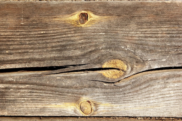 textura de placa de madeira velha cinza com galhos amarelos, fundo de madeira