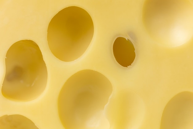 Textura de queijo maasdam com buracos closeup