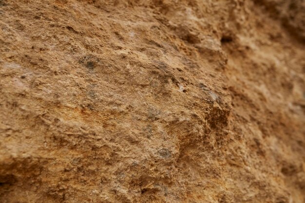 Textura de rocha de concha e raça fechada de terra