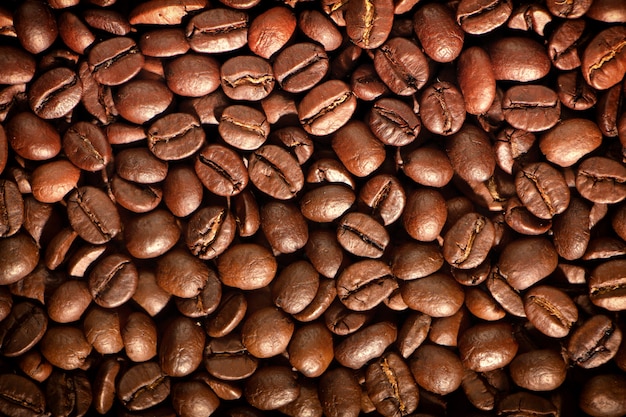 Textura de semente de café. Fundo orgânico de alta qualidade, com contas de café torradas.