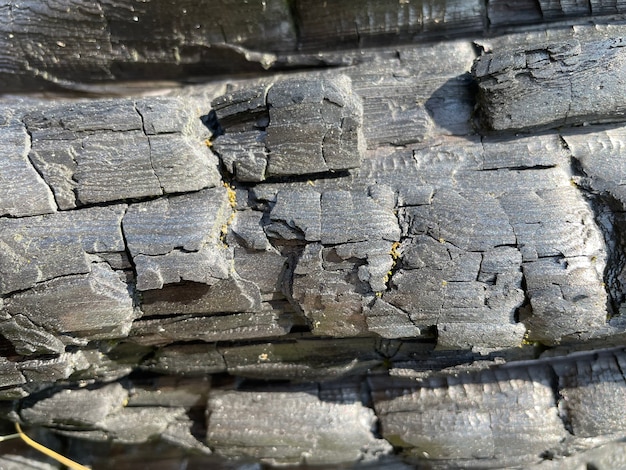 Textura de tábua de madeira queimada para o fundo