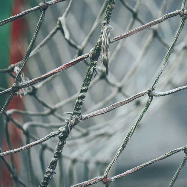 textura de teia de corda