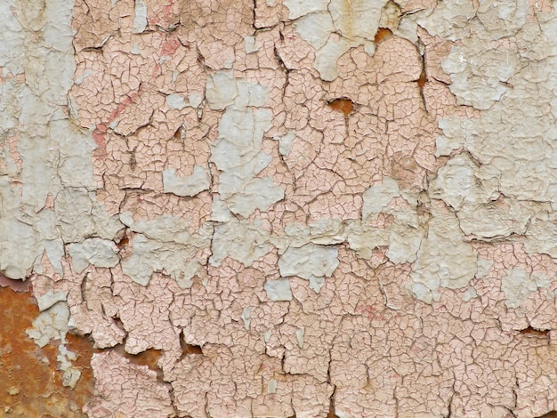 Foto textura de tinta rosa rachada.