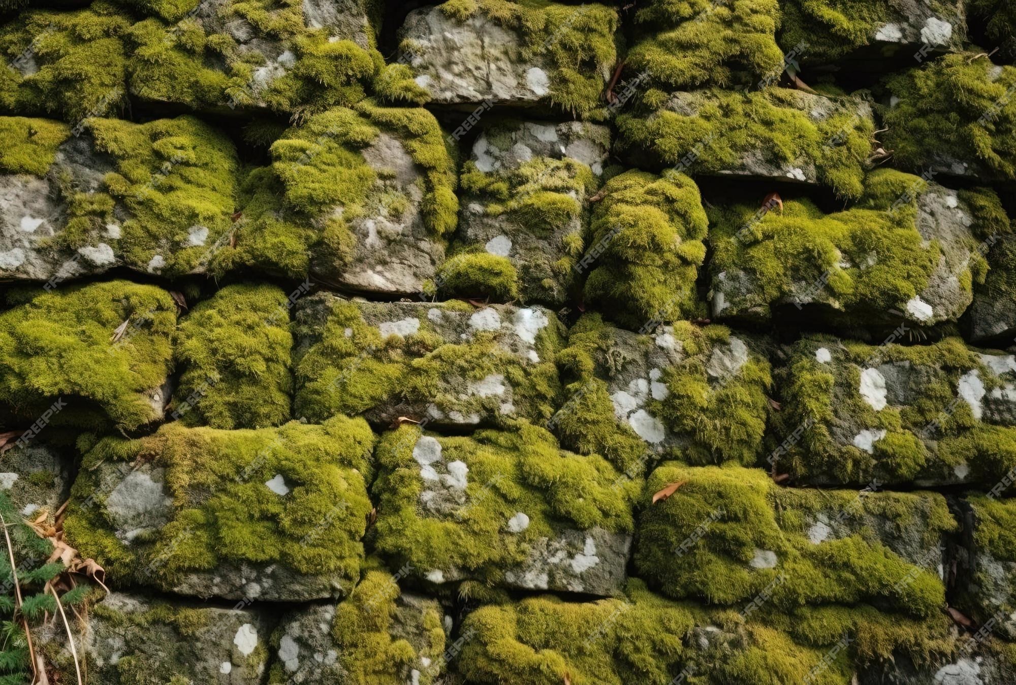 Padrão De Fundo. Muro De Pedras Naturais Russa Com Musgo Verde E