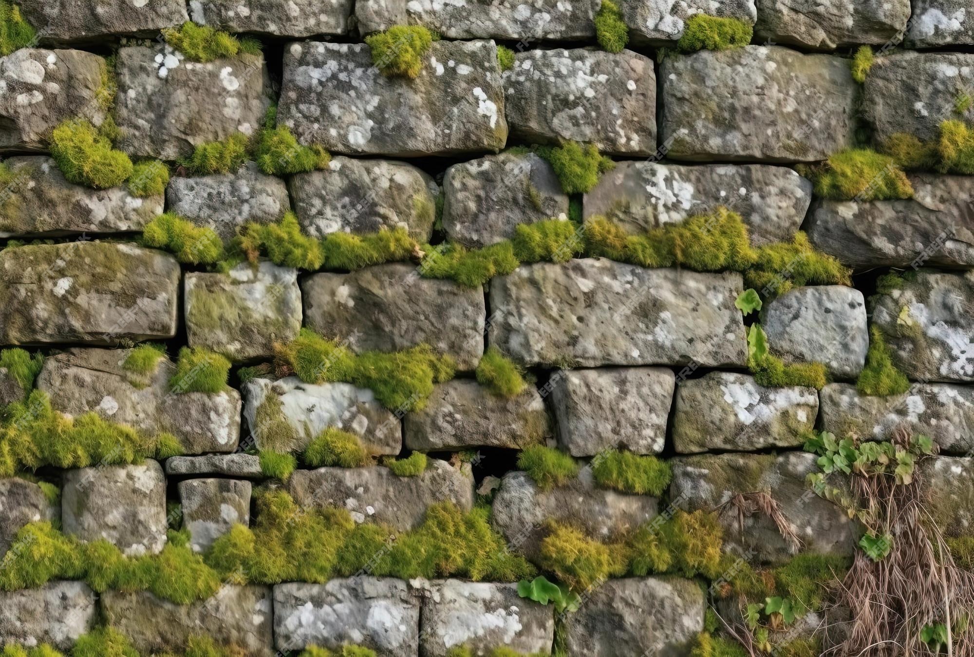 Padrão De Fundo. Muro De Pedras Naturais Russa Com Musgo Verde E