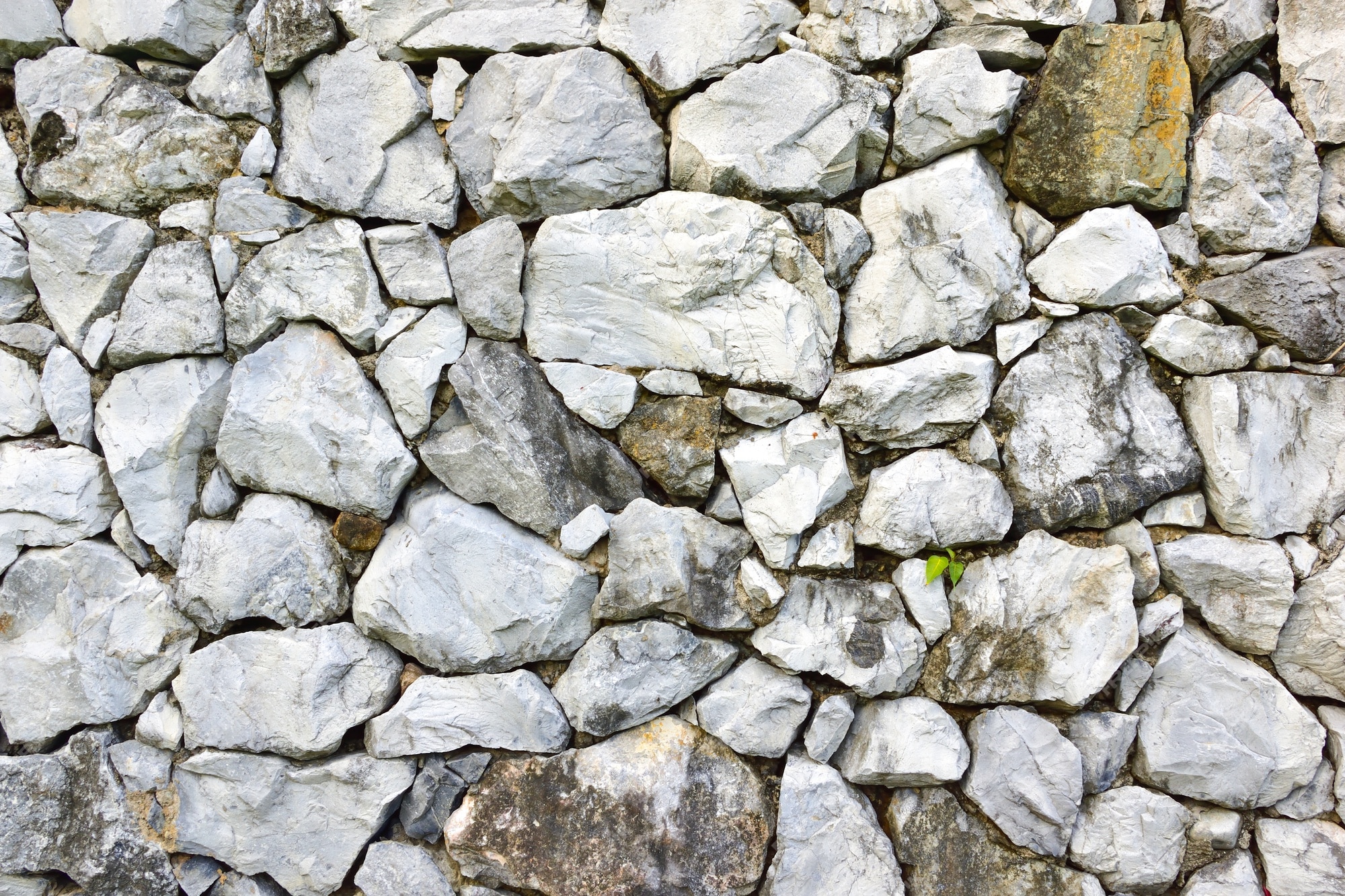 Fundo Ou Textura De Um Muro De Pedra Branca a Partir De Um Campo  Tradicional Imagem de Stock - Imagem de pedra, casa: 200046315