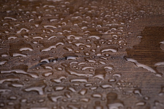 Textura de uma árvore com muitas gotas de água em close-up