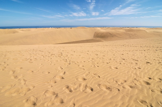 Textura del desierto de dunas de arena