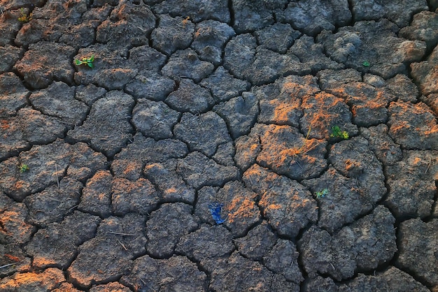 textura desierto sequía fondo abstracto tierra agrietado calentamiento global
