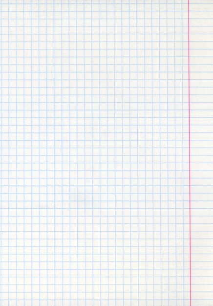 Foto textura detallada de la hoja de papel matemático en blanco con márgenes.
