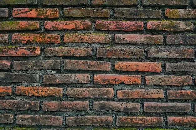 textura do arranjo de tijolos vermelhos para as paredes da casa