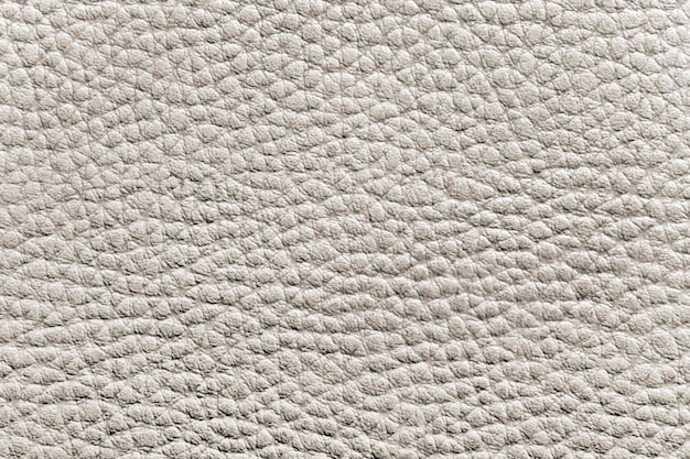 textura do couro branco