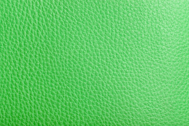 Textura do couro verde