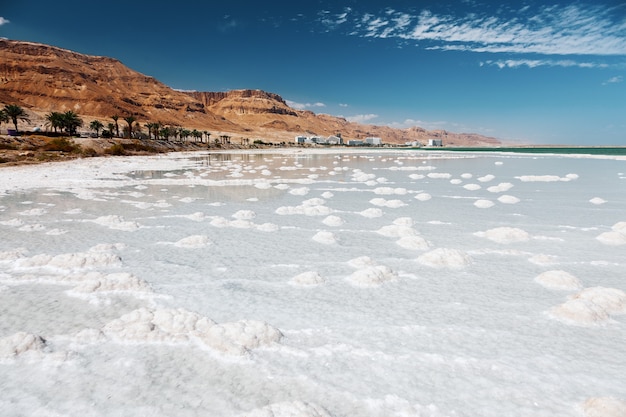 Textura do mar morto. costa do mar salgado