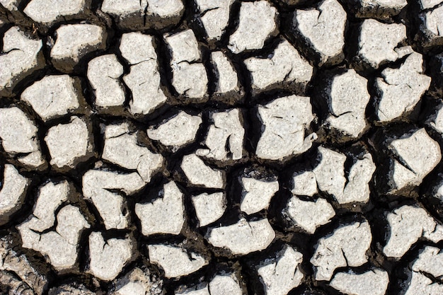 Textura do solo à terra seca e rachada