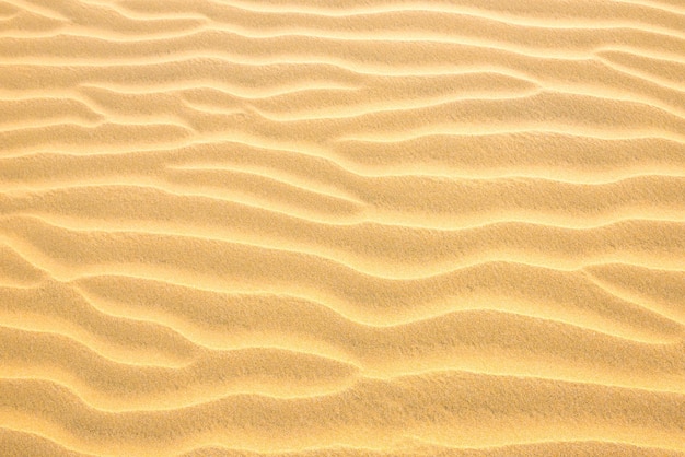 La textura de las dunas de arena del desierto amarillo se puede utilizar como fondo natural