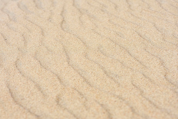 Textura de dunas de arena del desierto. Olas en las arenas amarillas del desierto. Primer plano de una playa de arena.