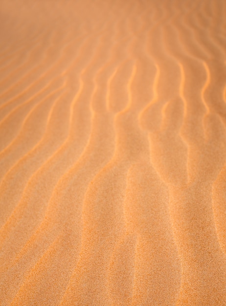 Textura de dunas de arena fondo borroso