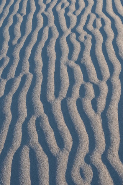 textura de las dunas del desierto