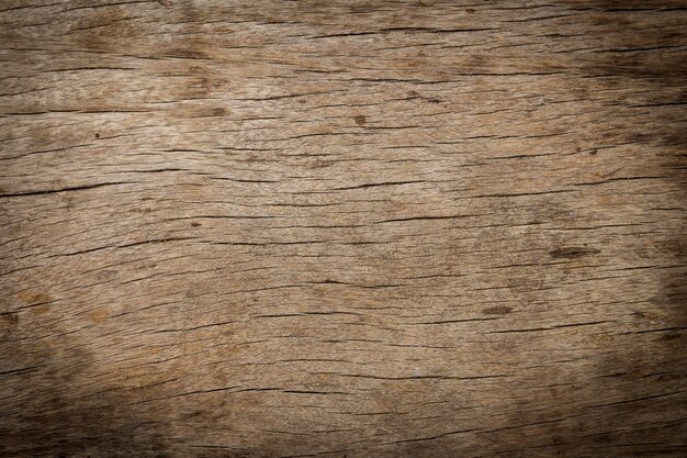 Textura e fundo de madeira velha