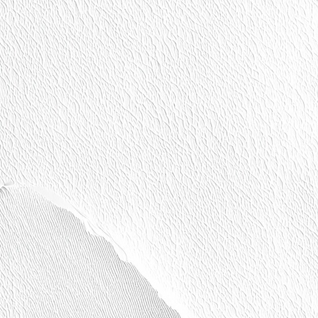 Textura e fundo do papel branco