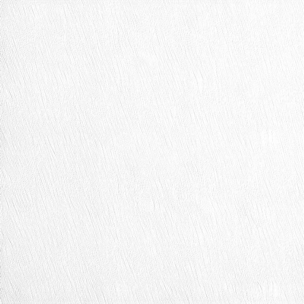 Textura e fundo do papel branco