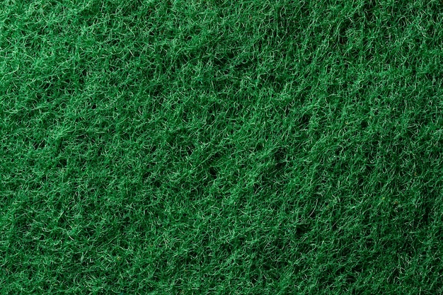 Foto la textura esponja verde