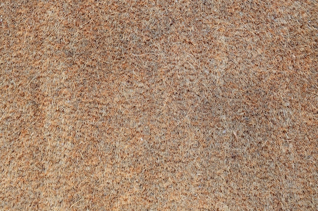 Textura de felpudo marrón. Alfombra natural de textura.