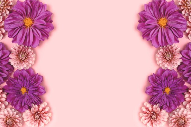 Textura de flores de dalia sobre un fondo rosa pastel con copyspace Concepto floral de la naturaleza
