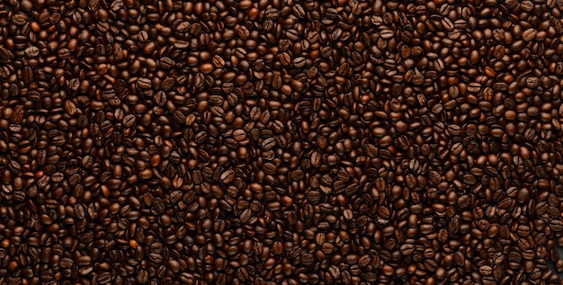 Textura de fondo abstracto de línea de granos de café