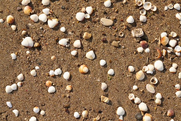 Textura y fondo de arenas de playa