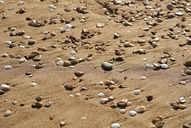 Textura y fondo de arenas de playa