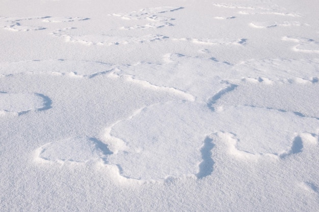 Textura de fondo blanco nieve fina