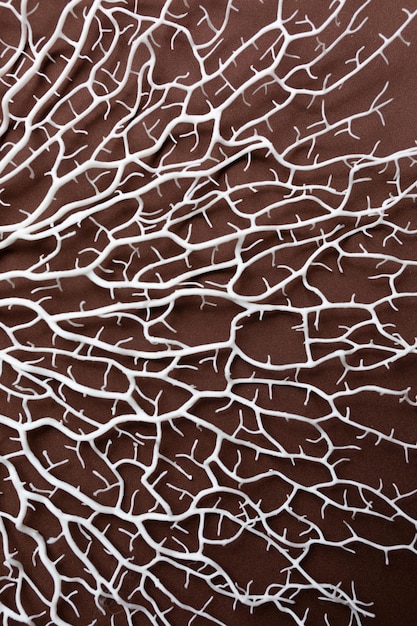 textura de fondo del borde del coral textura 3d