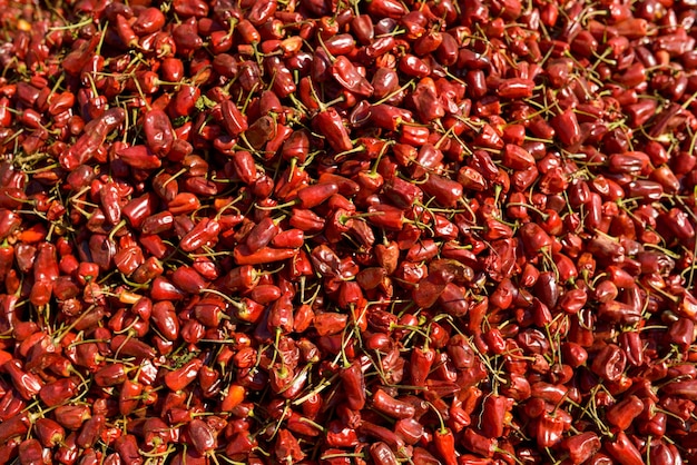 Textura de fondo de comida de ají seco rojo