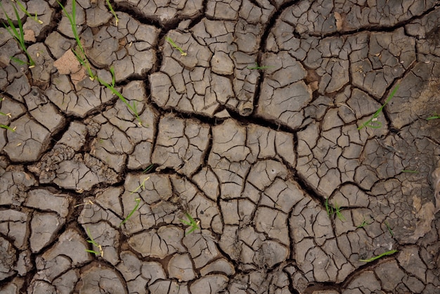 Textura y fondo de la fractura del suelo.