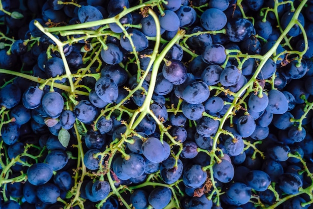 Textura de fondo de fruta de uvas negras