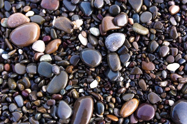 Textura de fondo de guijarros mojados en la orilla del mar