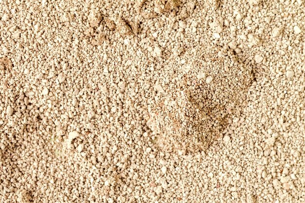 Textura de fondo de lechada de gato Arena para el inodoro de mascotas
