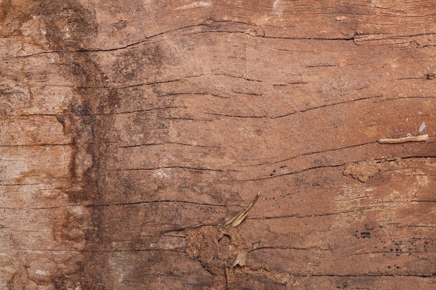 Textura de fondo de madera agrietada