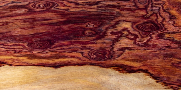 Textura de fondo de madera exótica de palisandro birmano de la naturaleza