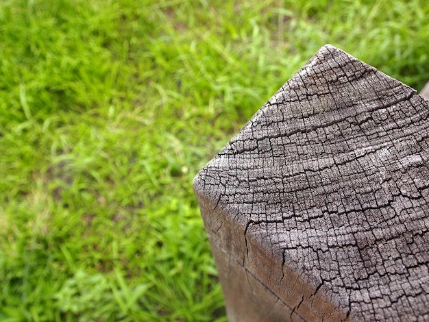 textura de fondo de madera soplada con hierba verde