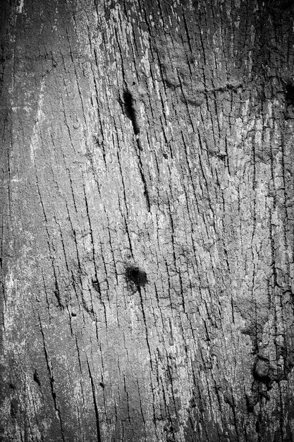 Textura de fondo de madera vieja.